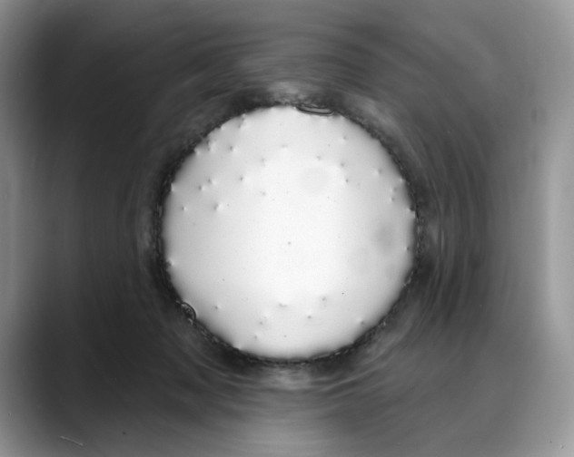 X0000088020317200706081446