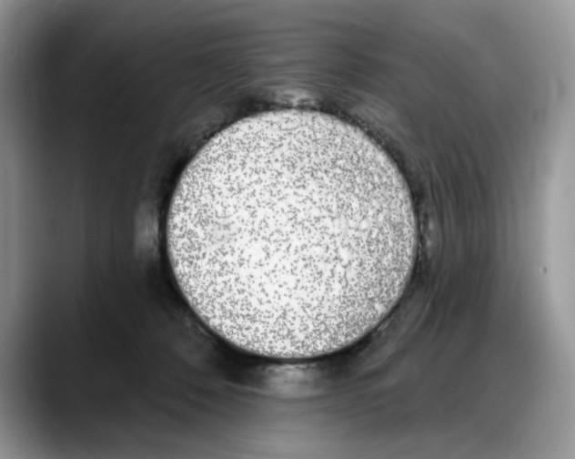 X0000088020320200706081446