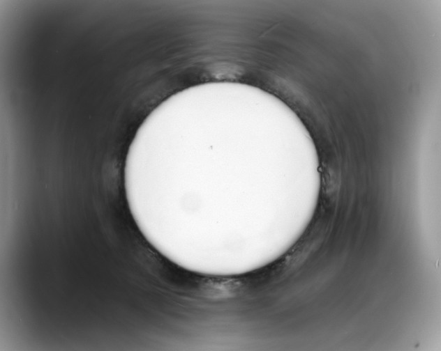 X0000088020321200706081446