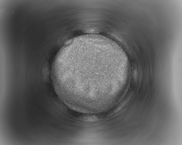X0000088020322200706081446