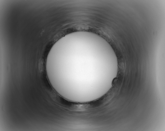 X0000088020323200706081446
