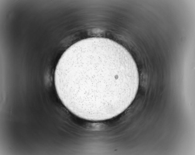 X0000088020324200706081446