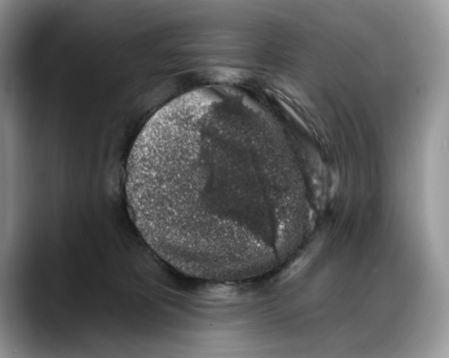 X0000088020325200706081446