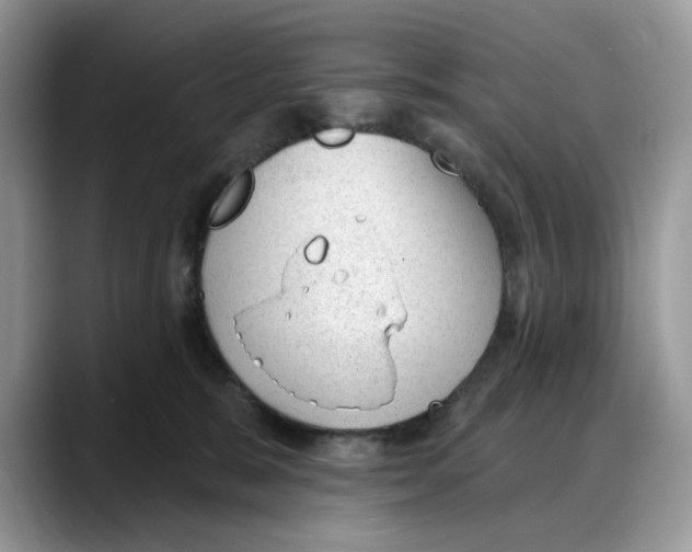 X0000088020327200706081446