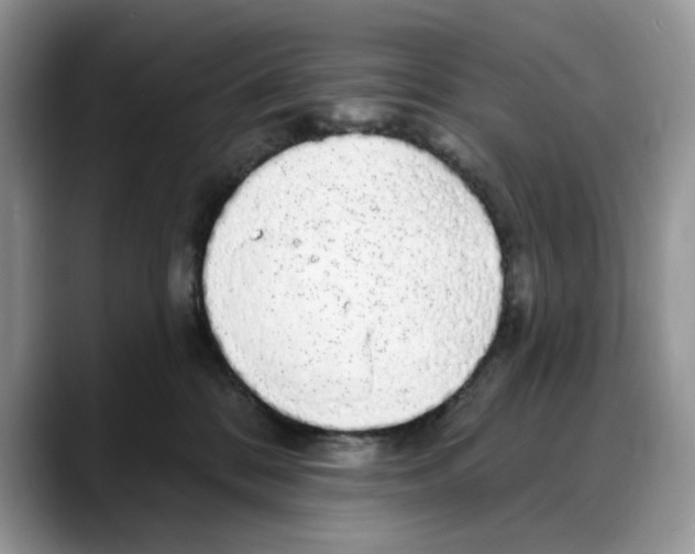 X0000088020328200706081446