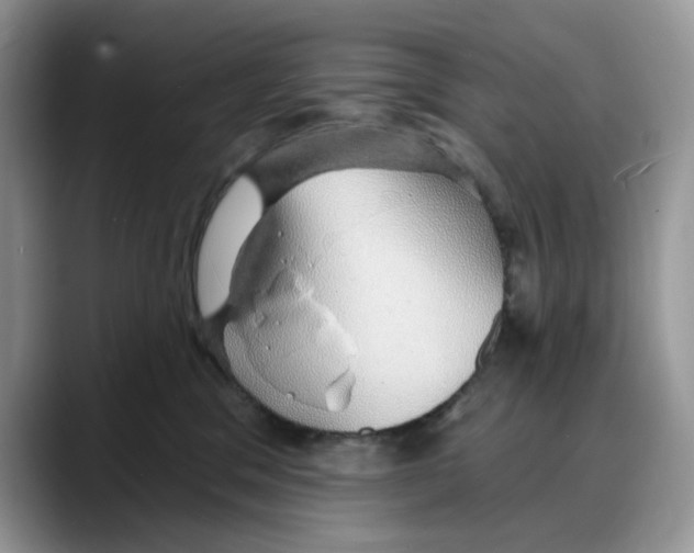 X0000088020329200706081446