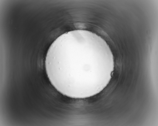 X0000088020330200706081446