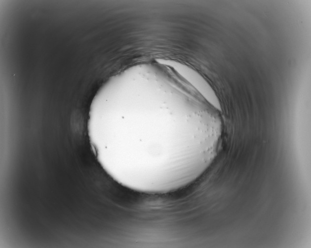 X0000088020331200706081446