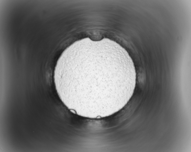 X0000088020332200706081446