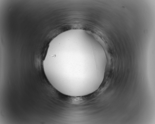 X0000088020333200706081446