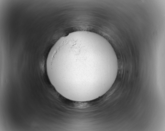 X0000088020334200706081446