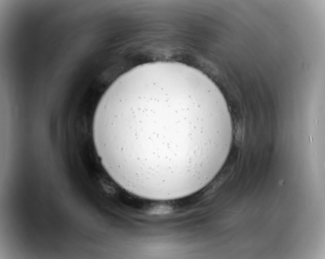 X0000088020335200706081446