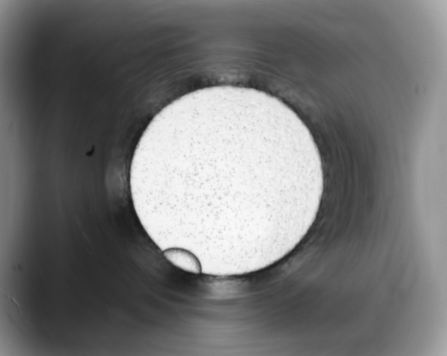 X0000088020336200706081446
