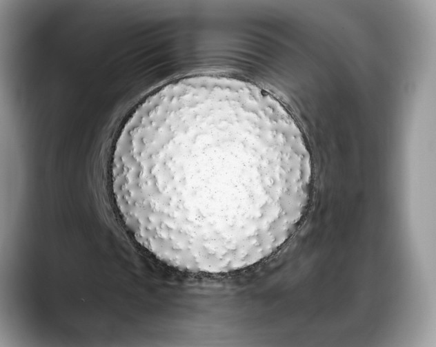 X0000088020337200706081446