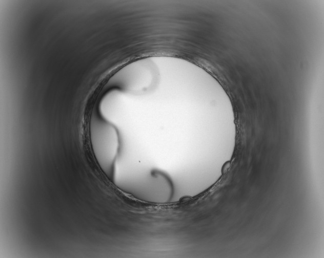 X0000088020338200706081446