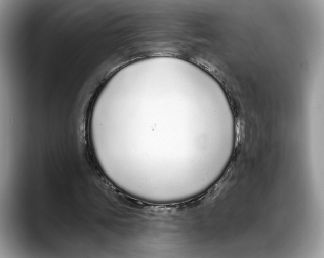 X0000088020339200706081446