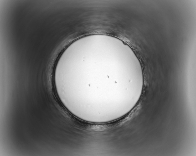 X0000088020341200706081446