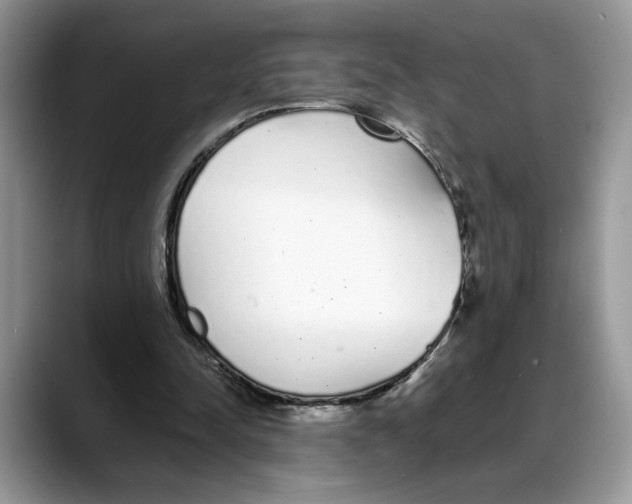 X0000088020342200706081446