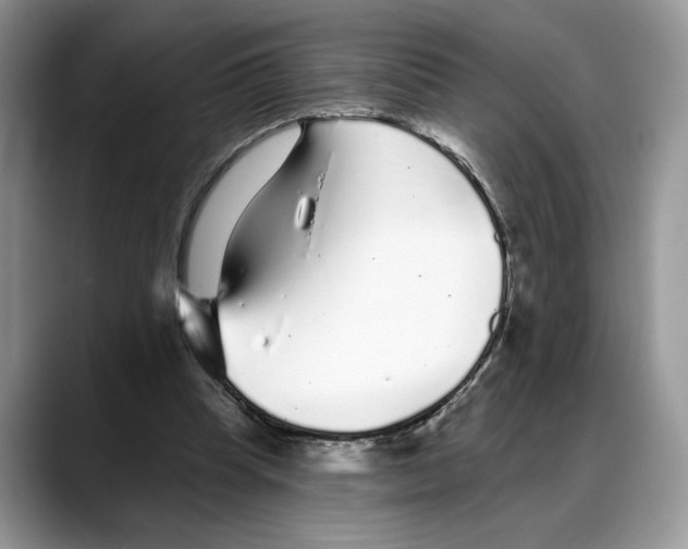X0000088020345200706081446