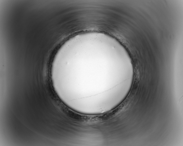 X0000088020347200706081446