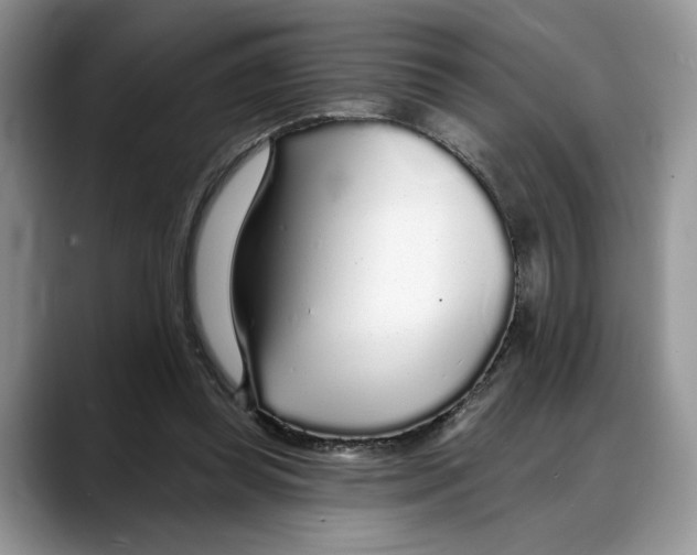 X0000088020349200706081446