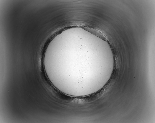X0000088020350200706081446