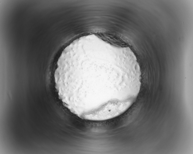 X0000088020351200706081446