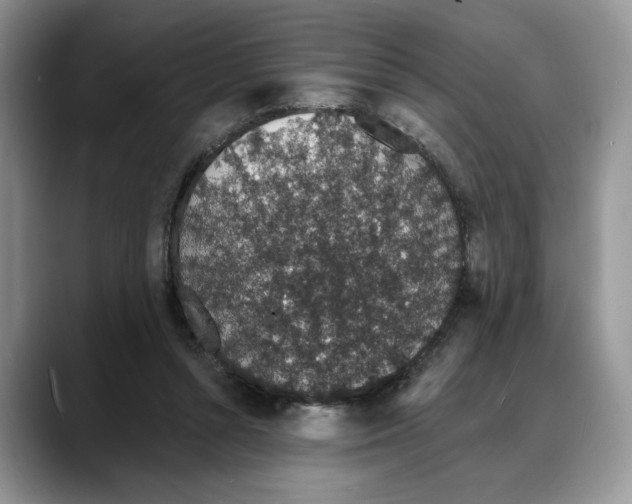 X0000088020352200706081446