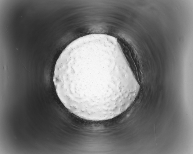 X0000088020353200706081446
