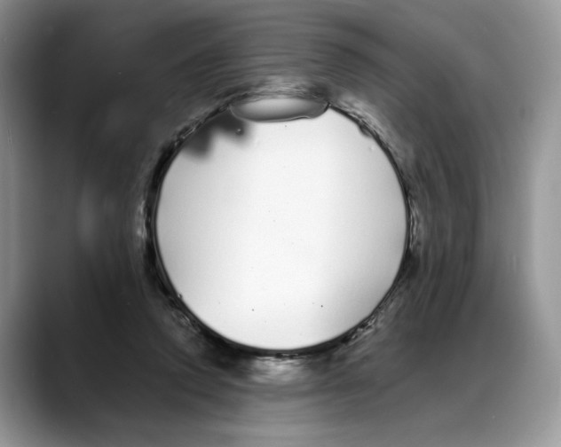 X0000088020354200706081446