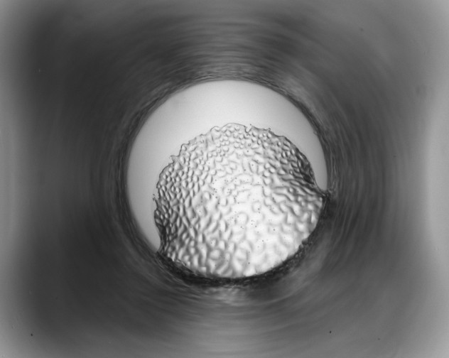 X0000088020356200706081446