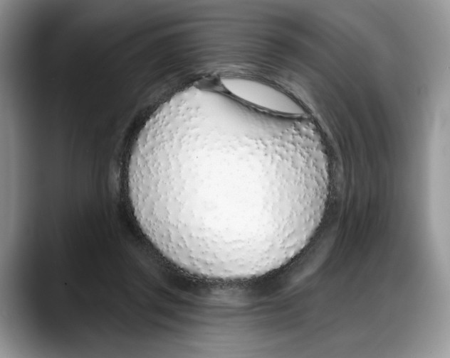 X0000088020357200706081446