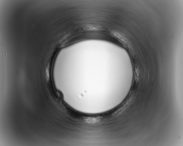 X0000088020358200706081446