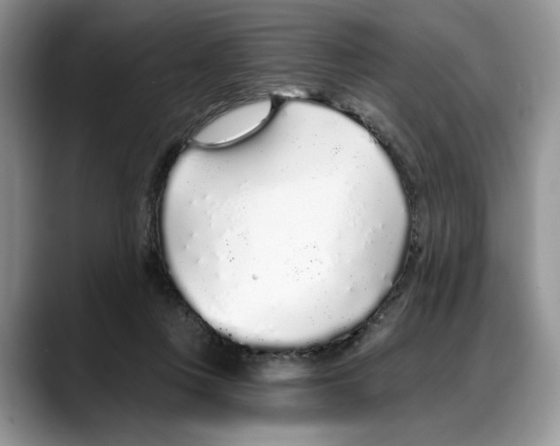 X0000088020359200706081446