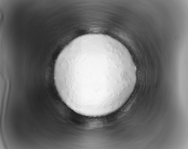 X0000088020361200706081446