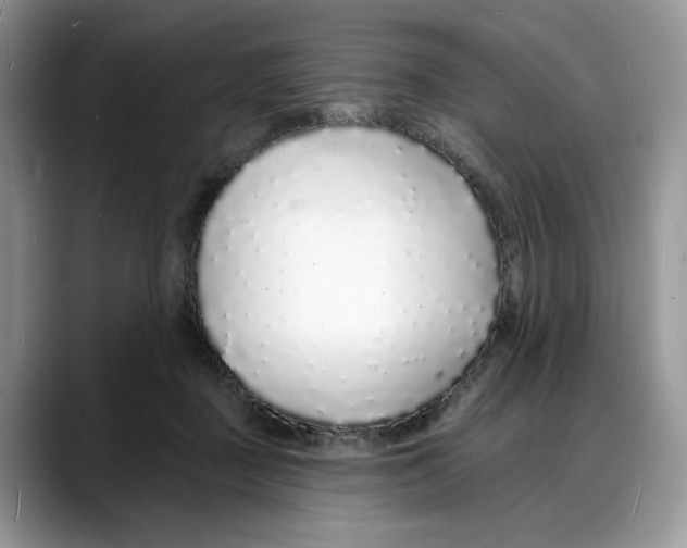 X0000088020363200706081446