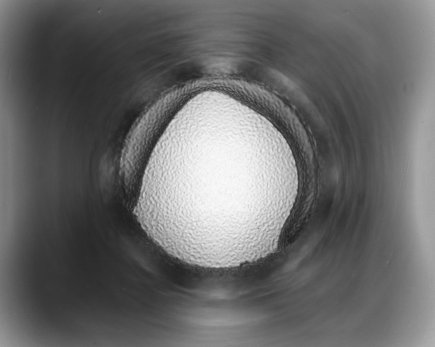 X0000088020364200706081446