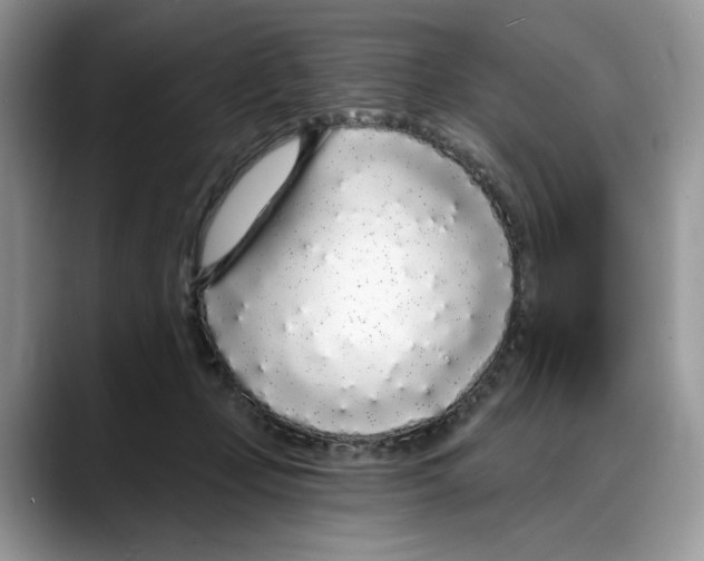 X0000088020365200706081446
