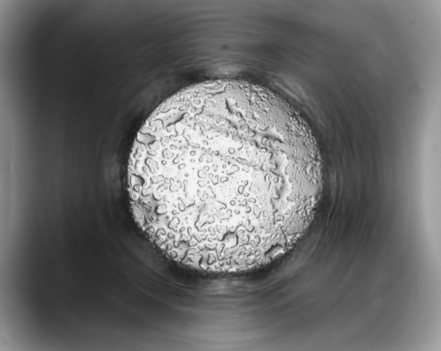 X0000088020366200706081446