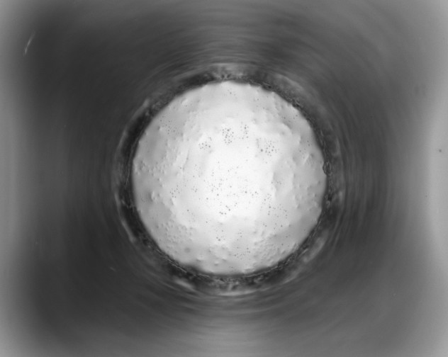 X0000088020367200706081446