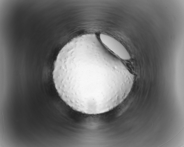 X0000088020369200706081446