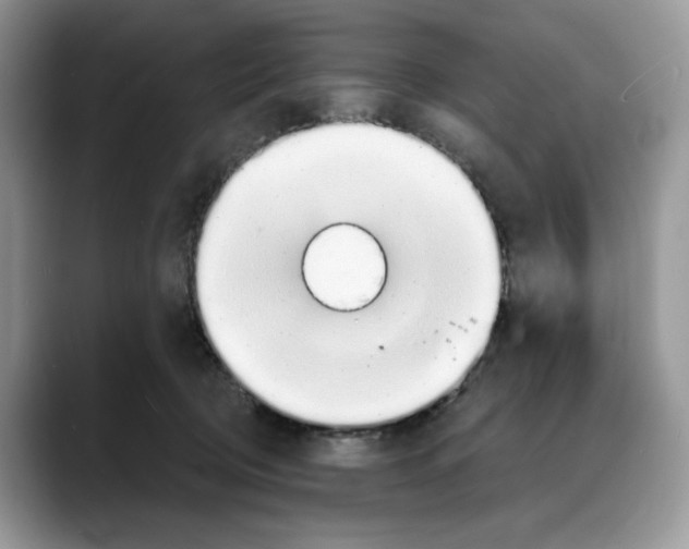 X0000088020370200706081446