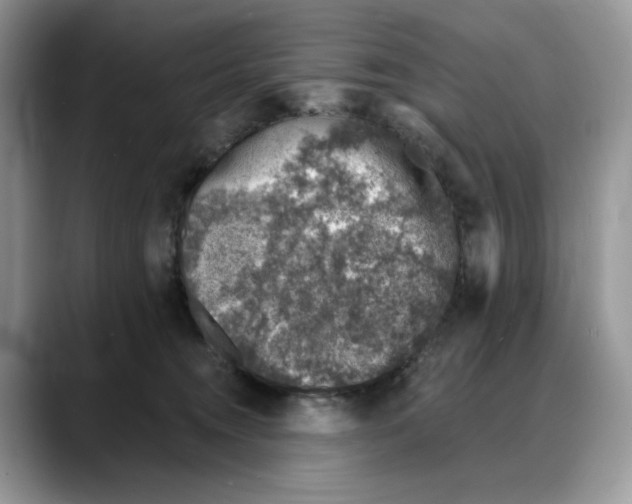 X0000088020372200706081446