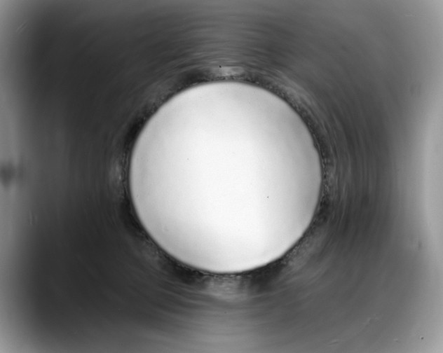 X0000088020373200706081446