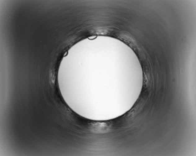X0000088020374200706081446
