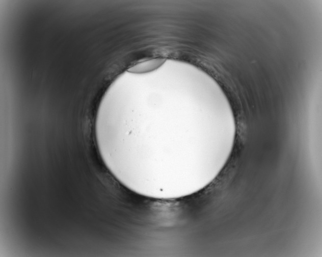 X0000088020375200706081446