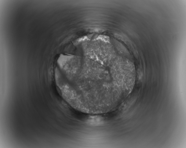 X0000088020376200706081446