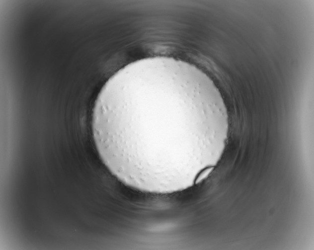 X0000088020377200706081446