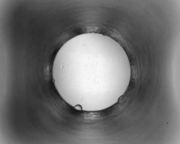 X0000088020378200706081446