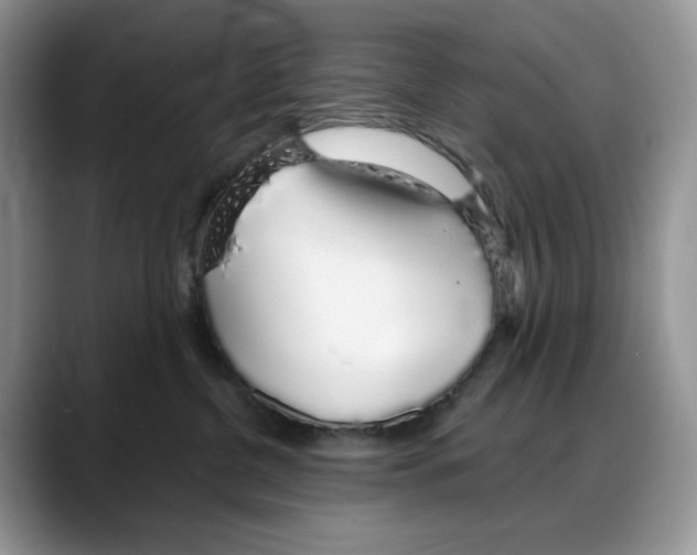 X0000088020380200706081446